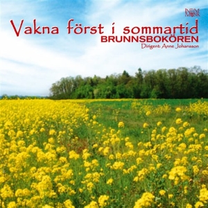 Brunnsbokören - Vakna Först I Sommartid in der Gruppe CD / Elektroniskt,Svensk Folkmusik bei Bengans Skivbutik AB (549233)