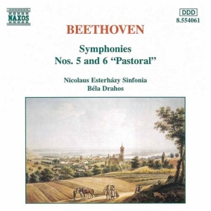 Beethoven Ludwig Van - Symphonies 5 & 6 Pastoral in der Gruppe Externt_Lager / Naxoslager bei Bengans Skivbutik AB (549859)