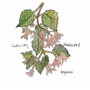 Cary Caitlin And Thad Cockrell - Begonias in der Gruppe UNSERE TIPPS / Klassiska lablar / YepRoc / CD bei Bengans Skivbutik AB (550011)