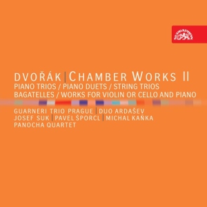 Dvorák Antonín - Chamber Works Ii (7 Cd) in der Gruppe CD / Klassiskt bei Bengans Skivbutik AB (5503078)