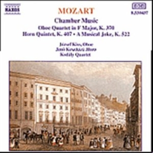 Mozart Wolfgang Amadeus - Chamber Music in der Gruppe CD / Klassiskt bei Bengans Skivbutik AB (5503215)