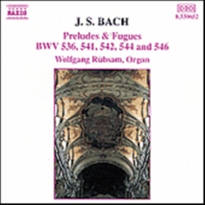 Bach Johann Sebastian - Preludes & Fugues in der Gruppe CD bei Bengans Skivbutik AB (5503219)