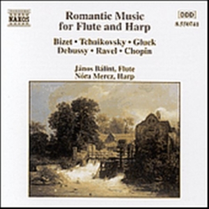 Various - Romantic Music For Flute And H in der Gruppe CD / Klassiskt bei Bengans Skivbutik AB (5503222)