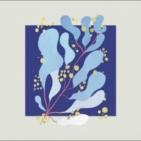 Salamanda - In Parallel in der Gruppe VINYL bei Bengans Skivbutik AB (5505987)