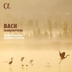 Bach Johann Sebastian - Transcriptions in der Gruppe Externt_Lager / Naxoslager bei Bengans Skivbutik AB (5506032)