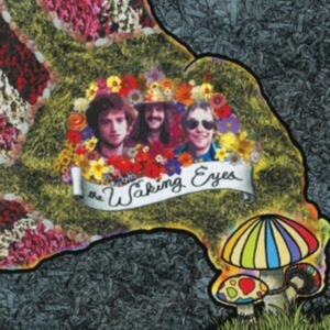 Waking Eyes The - Combing The Cloud in der Gruppe VINYL / Pop-Rock bei Bengans Skivbutik AB (5506166)