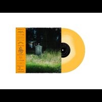 Carter Frank & The Rattlesnakes - Dark Rainbow in der Gruppe UNSERE TIPPS / Freitagsveröffentlichungen / Fredag den 26:e Jan 24 bei Bengans Skivbutik AB (5506219)