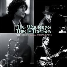 Waterboys - This Is The Sea -Black Fr- in der Gruppe CRM - Irish Pop-Rock bei Bengans Skivbutik AB (5506376)