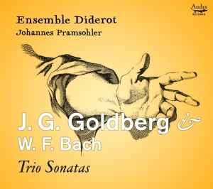 Ensemble Diderot - J.G. Goldberg & W.F. Bach: Trio Sonatas in der Gruppe CD / Klassiskt bei Bengans Skivbutik AB (5506490)