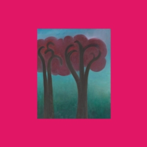 Ethier André - Croak In The Weeds in der Gruppe Övrigt /  bei Bengans Skivbutik AB (5506598)