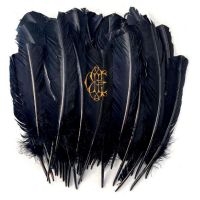 Edwards David Eugene - Hyacinth in der Gruppe CD bei Bengans Skivbutik AB (5506697)