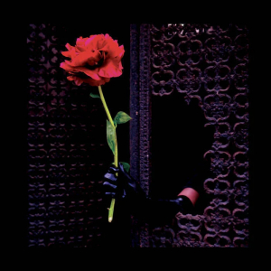 Crush Of Souls - (A)Void Love in der Gruppe VINYL / Pop-Rock bei Bengans Skivbutik AB (5506779)