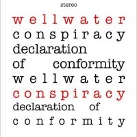 Wellwater Conspiracy - Declaration Of Conformity in der Gruppe VINYL / Pop-Rock bei Bengans Skivbutik AB (5506790)