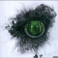 Swallow The Sun - Emerald Forest And The Blackbird in der Gruppe CD / Hårdrock bei Bengans Skivbutik AB (5507270)