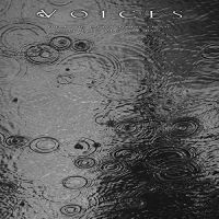 Voices - From The Human Forest Create A Fugu in der Gruppe CD bei Bengans Skivbutik AB (5507381)