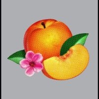 Phoenix - Bankrupt! Deluxe Edition in der Gruppe UNSERE TIPPS / Freitagsveröffentlichungen / Fredag Den 1:a Mars 2024 bei Bengans Skivbutik AB (5507596)