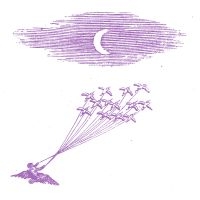 Feeling Figures - Migration Magic in der Gruppe VINYL / Pop-Rock bei Bengans Skivbutik AB (5507863)