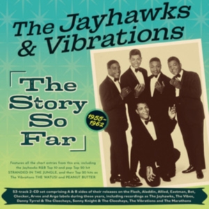 The Vibrations - The Jayhawks And Vibrations - The S in der Gruppe Övrigt /  bei Bengans Skivbutik AB (5507955)
