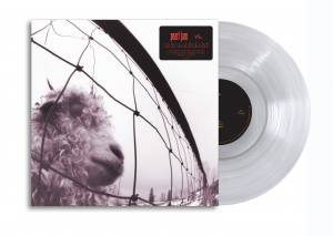 Pearl Jam - Vs. (Ltd Clear Vinyl) in der Gruppe VINYL / Pop-Rock bei Bengans Skivbutik AB (5508220)