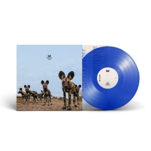 Balthazar - Fever in der Gruppe VINYL / Pop-Rock bei Bengans Skivbutik AB (5508505)