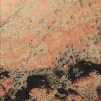 Lawrence English / Werner Dafeldeck - Tropic Of Capricorn in der Gruppe VINYL / Pop-Rock bei Bengans Skivbutik AB (5508555)