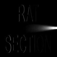 Rat Section - What Stays In Vegas in der Gruppe CD / Pop-Rock bei Bengans Skivbutik AB (5508563)