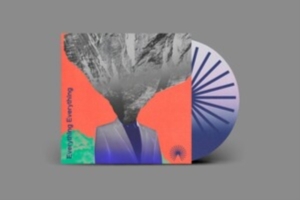 Everything Everything - Mountainhead in der Gruppe UNSERE TIPPS / Freitagsveröffentlichungen / Fredag Den 1:a Mars 2024 bei Bengans Skivbutik AB (5509143)