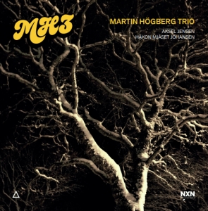 Martin Högberg Trio - Mh3 in der Gruppe CD bei Bengans Skivbutik AB (5509278)