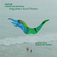 Teitur & Aarhus Jazz Orchestra - Songs From A Social Distance in der Gruppe VINYL / Bestseller bei Bengans Skivbutik AB (5509291)