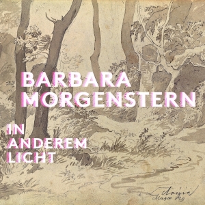 Barbara Morgenstern - In Anderem Licht in der Gruppe CD bei Bengans Skivbutik AB (5509666)