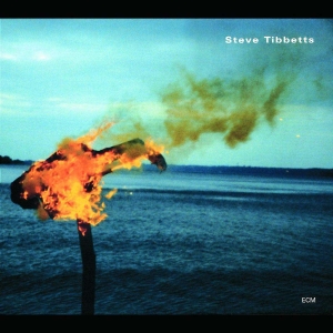 Tibbetts Steve - A Man About A Horse in der Gruppe CD / Jazz bei Bengans Skivbutik AB (5509840)