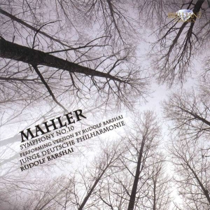Mahler - Mahler: Symphony No. 10 in der Gruppe CD / Klassiskt bei Bengans Skivbutik AB (5509883)