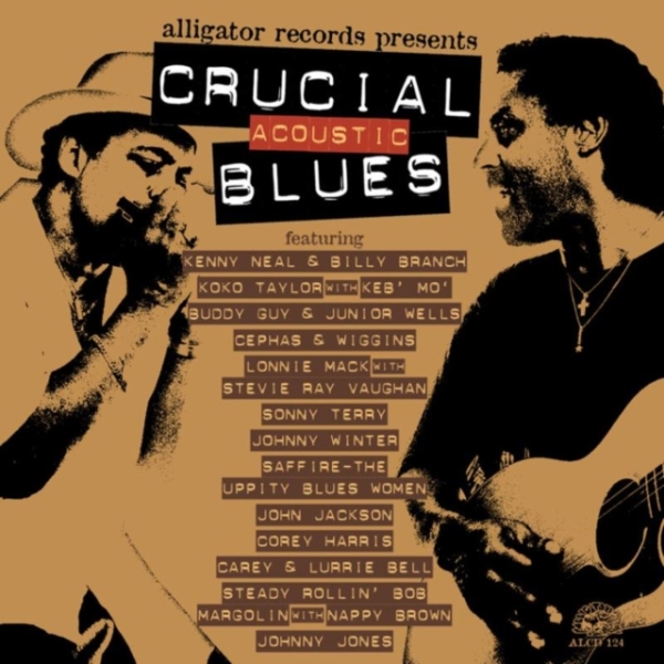 Blandade Artister - Crucial Acoustic Blues in der Gruppe Övrigt / bei Bengans Skivbutik AB (550992)
