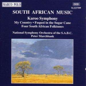 Various - South African Music in der Gruppe CD / Klassiskt bei Bengans Skivbutik AB (5510061)