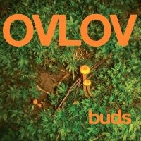 Ovlov - Buds (Green Vinyl) in der Gruppe VINYL bei Bengans Skivbutik AB (5510339)
