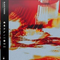 Black Foxxes - Black Foxxes in der Gruppe CD bei Bengans Skivbutik AB (5510478)