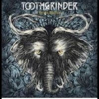Toothgrinder - Nocturnal Masquerade in der Gruppe VINYL / Hårdrock bei Bengans Skivbutik AB (5510495)