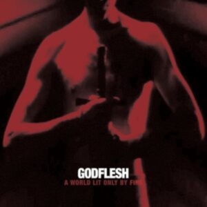 Godflesh - A World Only Lit By Fire (White Vin in der Gruppe VINYL / Pop-Rock bei Bengans Skivbutik AB (5510568)