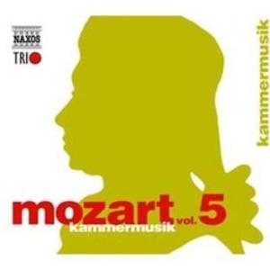 Mozart W A - Edition, Vol. 5 - Chamber Music in der Gruppe CD / Klassiskt bei Bengans Skivbutik AB (5510663)