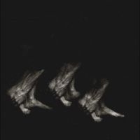 Leonov - Procession in der Gruppe UNSERE TIPPS / Freitagsveröffentlichungen / Fredag den 2:e Februari 2024 bei Bengans Skivbutik AB (5510789)