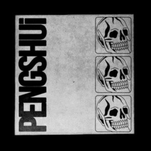 Pengshui - Pengshui in der Gruppe Övrigt /  bei Bengans Skivbutik AB (5511227)