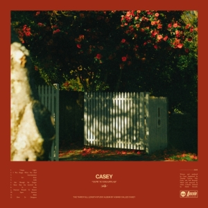 Casey - How To Disappear in der Gruppe UNSERE TIPPS / Freitagsveröffentlichungen / Fredag den 12:e Jan 24 bei Bengans Skivbutik AB (5511300)