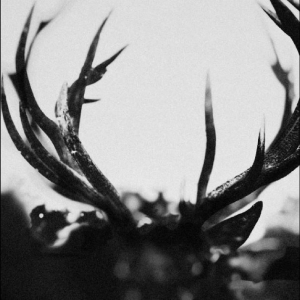 Ihsahn - Ihsahn in der Gruppe CD bei Bengans Skivbutik AB (5511305)