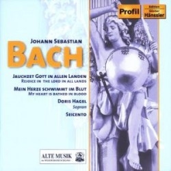 Bach - Kantaten in der Gruppe CD / Klassiskt bei Bengans Skivbutik AB (5511449)