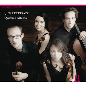 Various - Quartettsatz in der Gruppe CD / Bestseller bei Bengans Skivbutik AB (5511510)