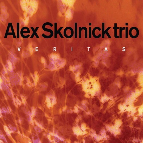Skolnick Alex - Veritas in der Gruppe CD / Jazz bei Bengans Skivbutik AB (5511547)