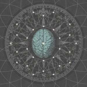 Bipolar Architecture - Metaphysicize in der Gruppe UNSERE TIPPS / Freitagsveröffentlichungen / Fredag den 2:e Februari 2024 bei Bengans Skivbutik AB (5511640)