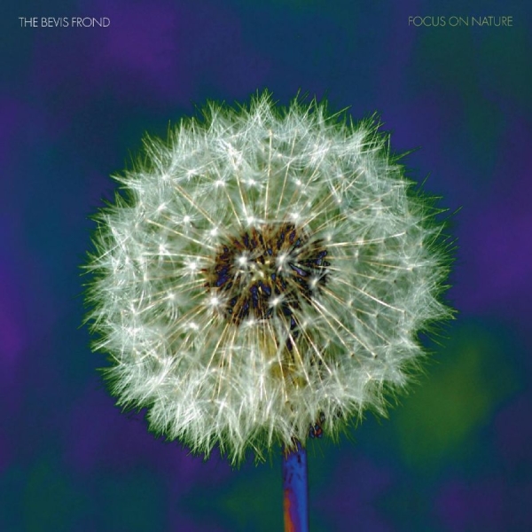 Bevis Frond The - Focus On Nature (Purple Vinyl) in der Gruppe VINYL / Bestseller bei Bengans Skivbutik AB (5511956)