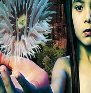 Future Sound Of London - Lifeforms in der Gruppe Övrigt /  bei Bengans Skivbutik AB (551206)