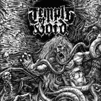 Temple Of Void - The First Ten Years in der Gruppe CD bei Bengans Skivbutik AB (5512134)